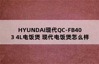 HYUNDAI现代QC-FB403 4L电饭煲 现代电饭煲怎么样